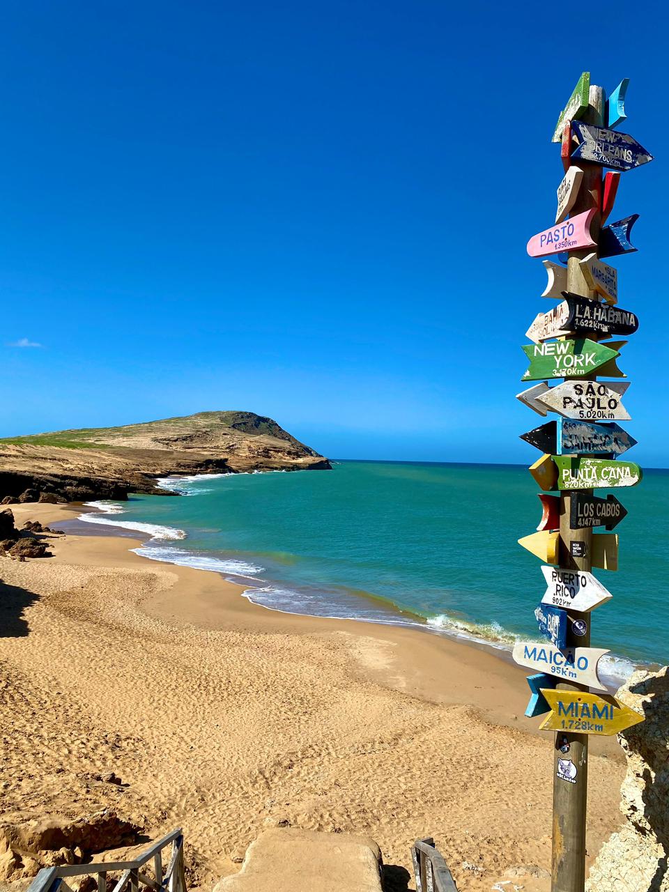 WhatsApp Image 2026-02-03 at 12.13.48 PM