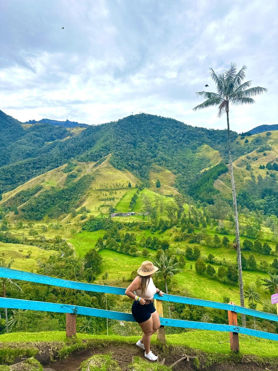 WhatsApp Image 2026-02-03 at 12.14.33 PM